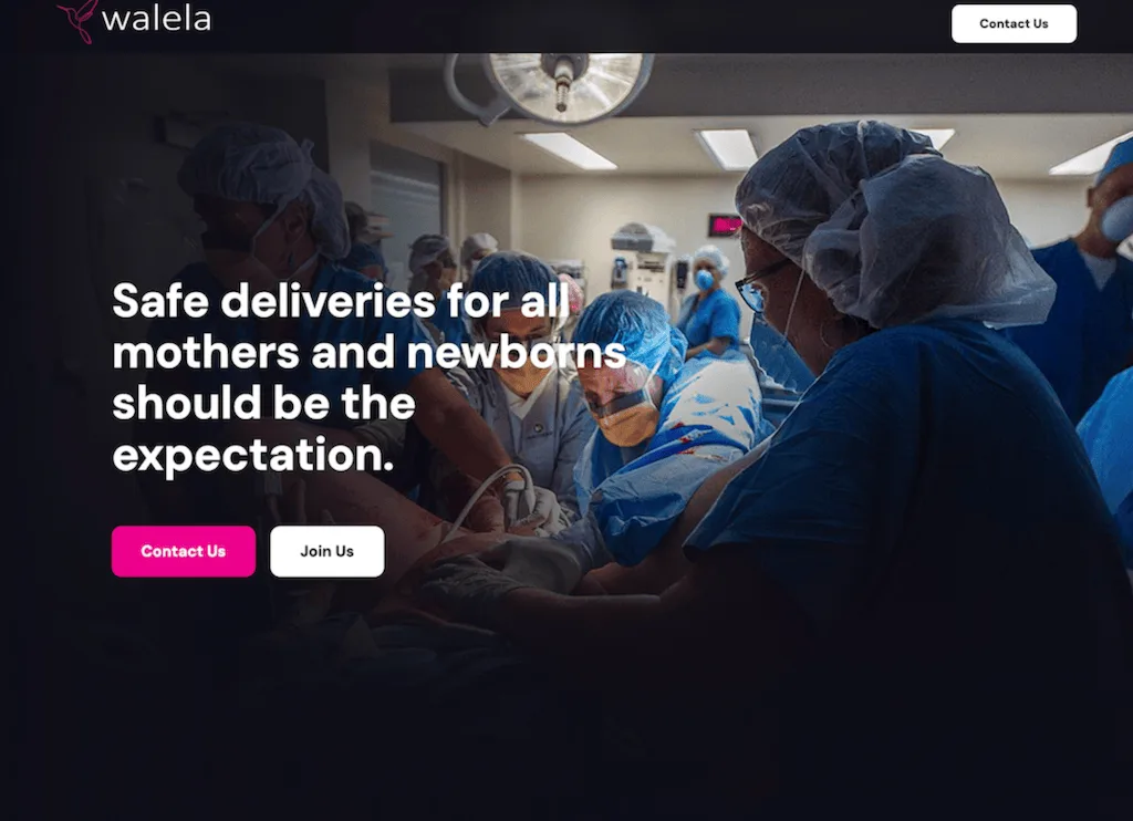 Walela Walela: Maternal Diagnostics Website Development - Homade